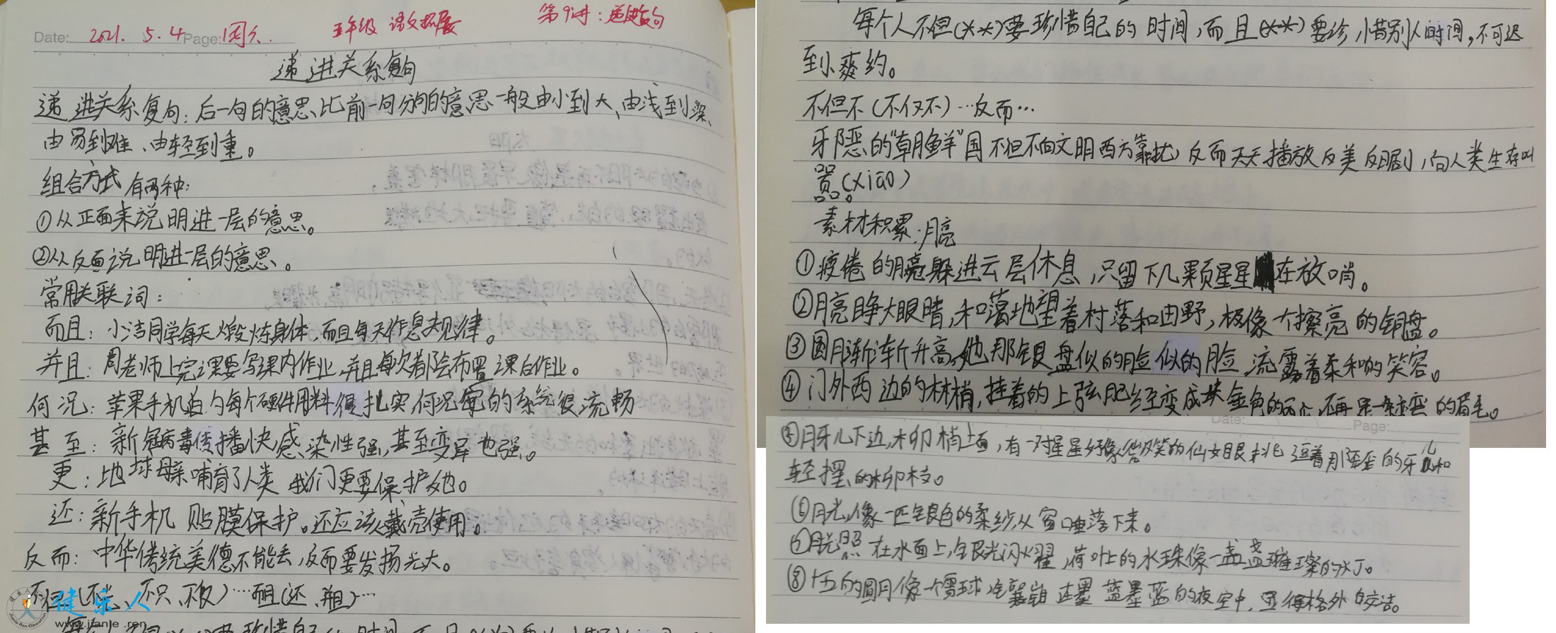 五年级语文7.jpg