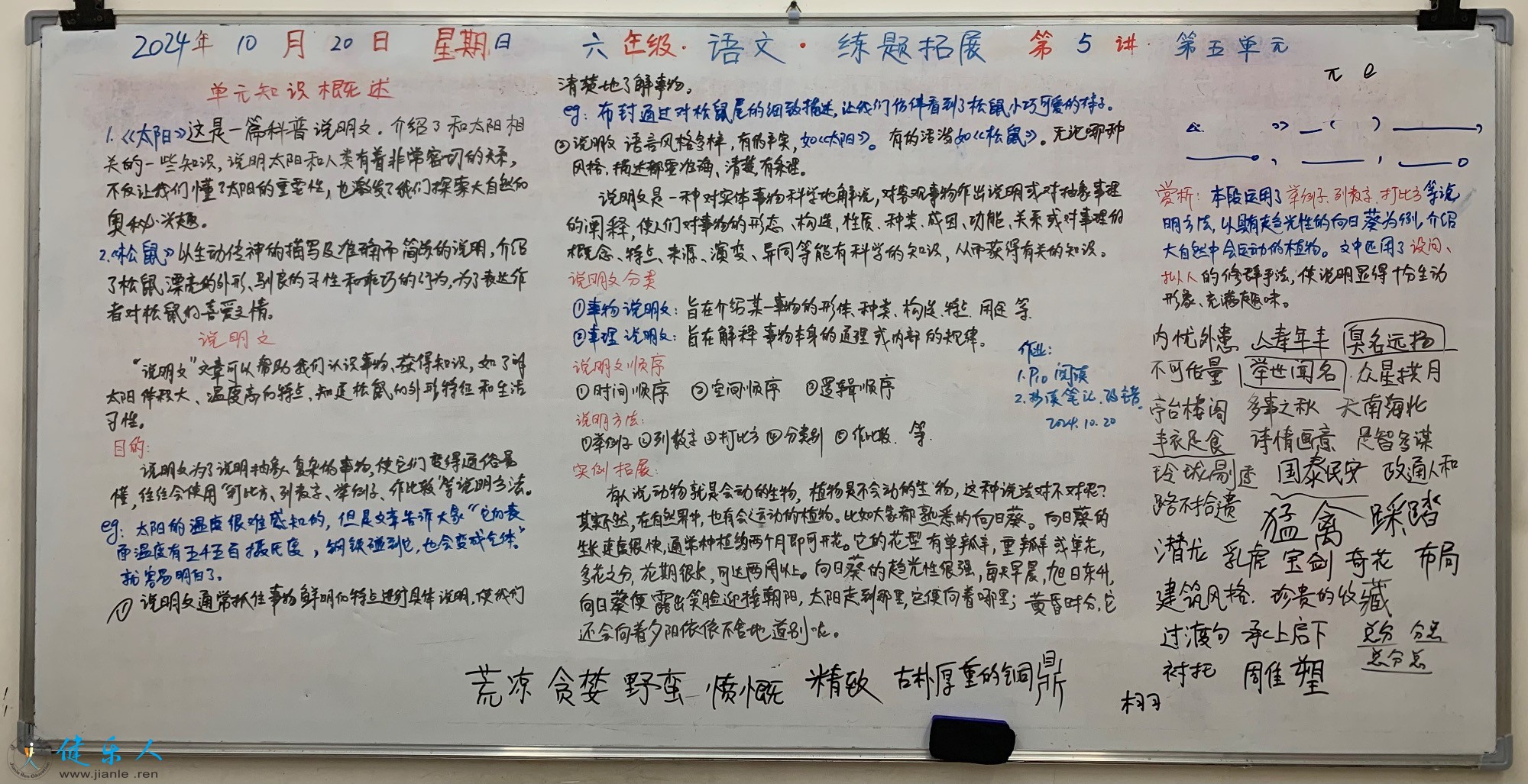 DF0F3123-9B1F-4402-9980-8AAECE59592F.jpeg